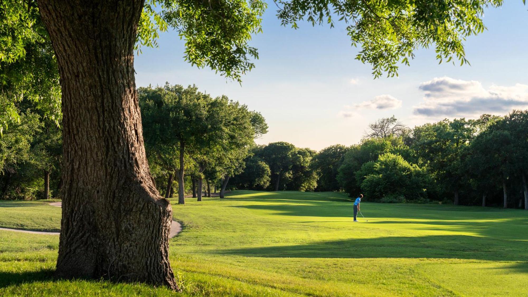 Dallas/Fort Worth Marriott Hotel & Golf Club At Champions Circle Роанок Экстерьер фото