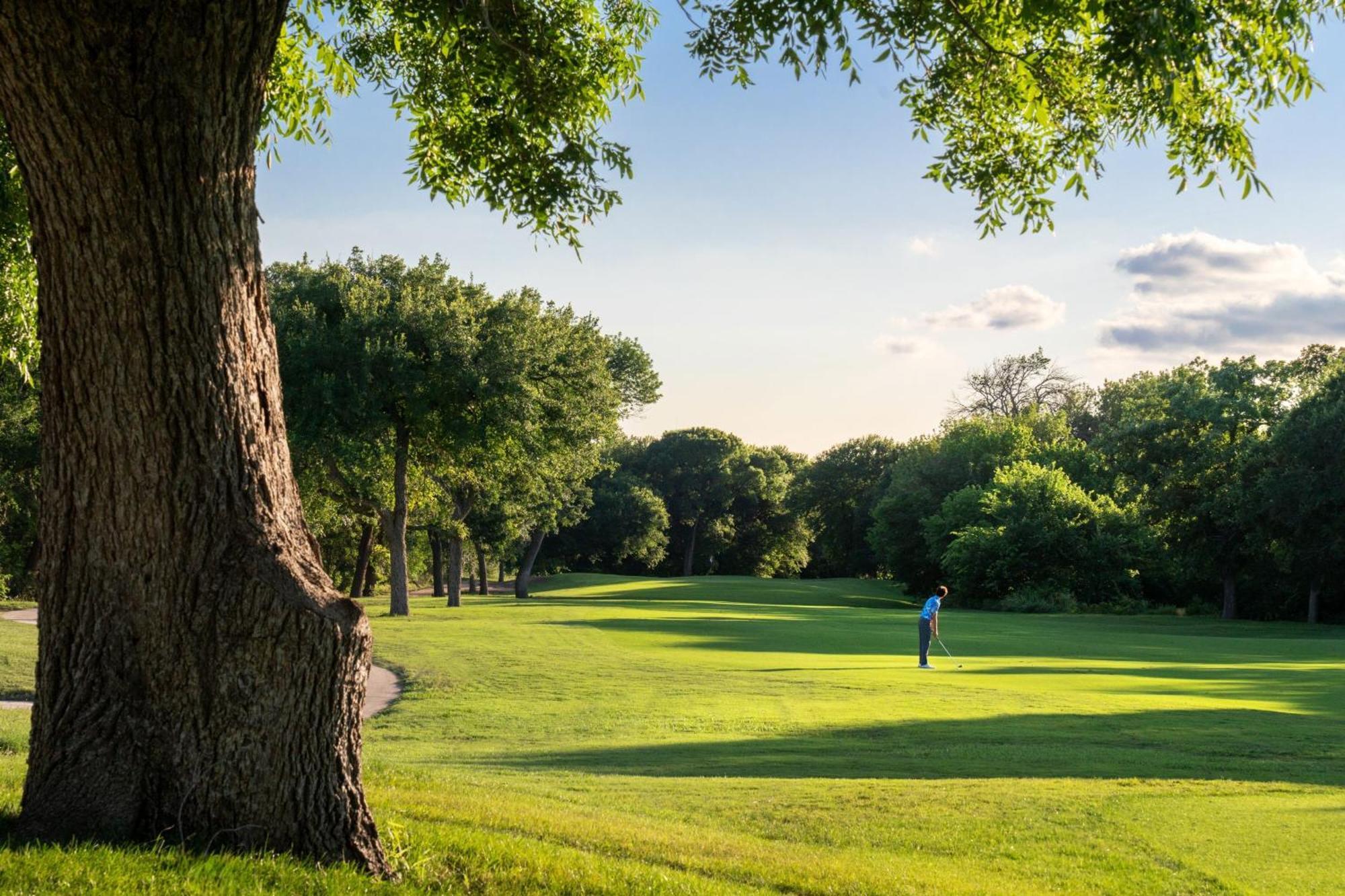 Dallas/Fort Worth Marriott Hotel & Golf Club At Champions Circle Роанок Экстерьер фото